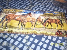 Horse pony tapestry for sale  Browning