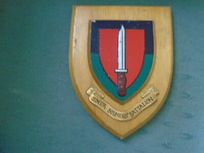 Junior soldiers battalion for sale  NORTHAMPTON