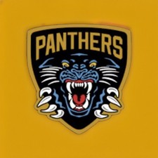 Cartões colecionáveis de hóquei Blindside 2022-23 Nottingham Panthers EIHL comprar usado  Enviando para Brazil