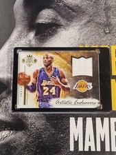 2015 panini court gebraucht kaufen  Schermbeck