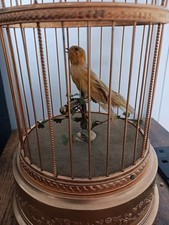 singing bird box for sale singing bird box for sale DORCHESTER