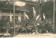 Vietnam saigon jardin d'occasion  Fruges