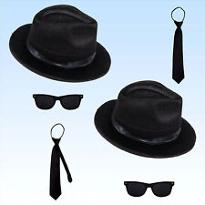 Blues brothers set gebraucht kaufen  Schkopau
