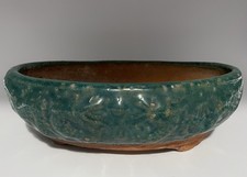 Year old shiwan for sale  Rockport