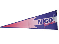 Nico feuerwerk poster gebraucht kaufen  Braunschweig