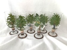 Glassware tropical decor for sale  Fort Myers