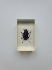Insecte inclusion résine d'occasion  Gondreville