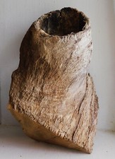 Taxidermy oak log for sale  Dousman