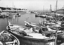 Sausset pins barques d'occasion  France