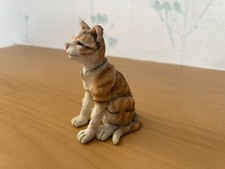 Pretty ginger cat for sale  MATLOCK