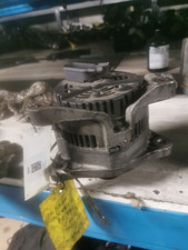 12317509110 alternatore bmw usato  Italia