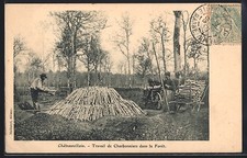 Old postcard châteauvillain d'occasion  Expédié en Belgium