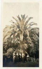 Antique black white for sale  Deming