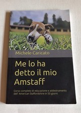 Detto mio amstaff usato  Pioltello