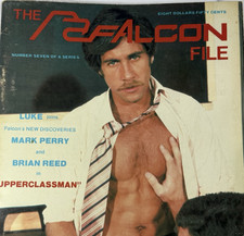 Falcon studios falcon for sale  Tucson