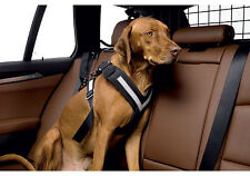 Kleinmetall allsafe hunde gebraucht kaufen  Hasselroth