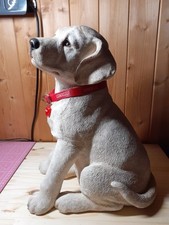 Magnifique labrador marque d'occasion  Mortagne-au-Perche