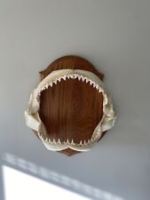 Mounted bull shark for sale  Naperville