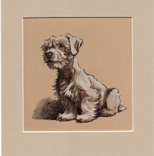 Cecil aldin wire for sale  SPALDING