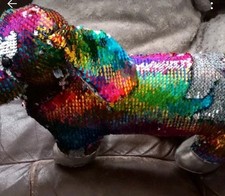 Sparkles sausage dog for sale  HOUGHTON LE SPRING