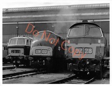 Old oak common for sale  MUSSELBURGH