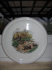 Assiette collection oiseaux d'occasion  Sarreguemines