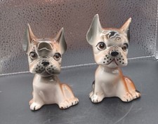 Japan bulldog puppy for sale  Columbus