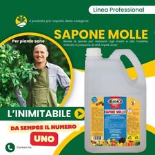 Sapone molle elevata usato  Villa Celiera