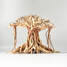 Driftwood bonsai aquarium for sale  Costa Mesa