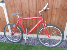 Raleigh men mountain for sale  NOTTINGHAM