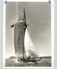Sloop sailboat clearwater for sale  Brooklyn