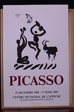 Pablo picasso rare d'occasion  Toulouse-