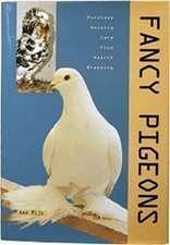 Fancy pigeons purchase for sale  ROSSENDALE