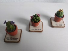 Kaktus kakteen zum gebraucht kaufen  Berne