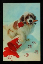 Dog puppy postcard for sale  Trenton