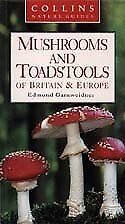 Mushrooms toadstools britain for sale  UK