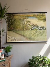 Vintage school chart for sale  SCARBOROUGH