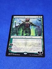 Nissa shakes mtg for sale  Belington