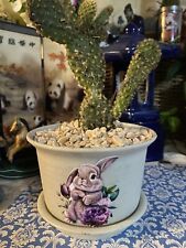 Cactus rabbits ears for sale  CINDERFORD