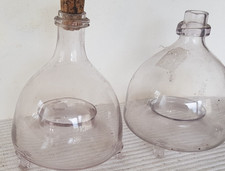 glass wasp trap for sale glass wasp trap for sale LOUTH