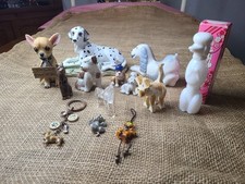 Lot assort dog for sale  Pagosa Springs