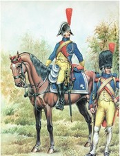 Révolution napoléon 1er d'occasion  Cavaillon