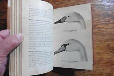 1907 practical wildfowling for sale  BLACKBURN