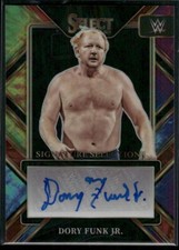 2023 select wwe for sale  Knoxville
