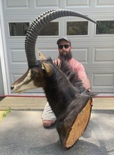 Massive vintage african for sale  Port Matilda