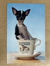 Postcard chihuahua dog for sale  Clarendon Hills