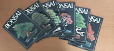 Bonsai news anno usato  Siderno