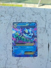 kyogre ex usato kyogre ex usato Montefelcino