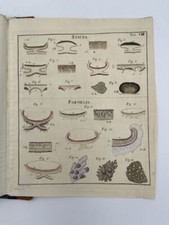 Lichenographia universalis. qu d'occasion  Rodez