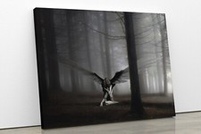 Fallen angel wings for sale  CONWY